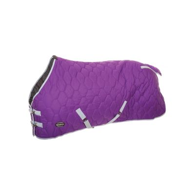Reinsman Premium Quilted Winter Stable Horse Blanket | Lightweight 600Denier Top & 250 Gram Fill | Fleece-Lined Neck & Breathable Nylon Lining | 2 Belly Straps | Stainless-Steel Hardware, Plum, 72"