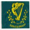 12x18 12"x18" Erin Go Bragh Irish Ireland Sleeve Flag Boat Car Garden