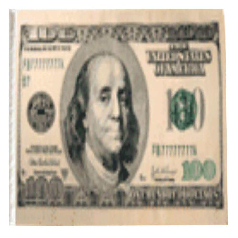 12x18 12"x18" Money $ 100 Dollars Benjamin Sleeve Flag Boat Car Garden