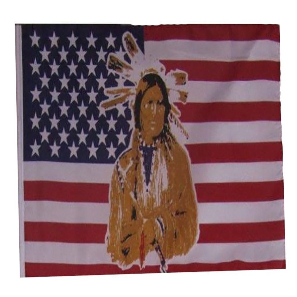 12x18 12"x18" USA American Indian Native Chief Sleeve Flag Boat Car Garden