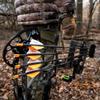 Victory Archery VAP SS 0.166" Micro Diameter Hunting Arrow (Spine: 400, 6 Pack Fletched, Straightness 0.006 - Sport - Red) view 4