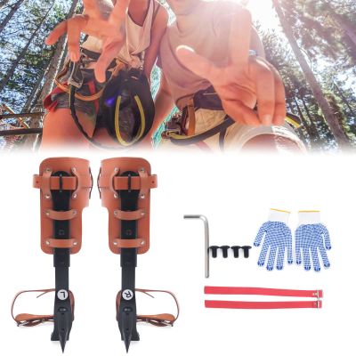 Tree Climbing Spikes, Pole Climbing Spurs Tree Climbing Spike Set Pole Climbing Spurs Carbon Steel Adjustable Climber Arborist Equipment for Climbers, Logging, Hunting Observation, Fruit Picking