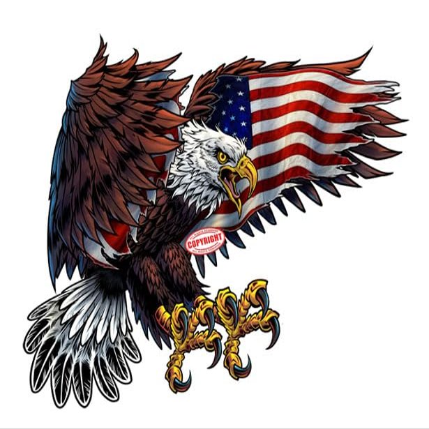 American Eagle American Flag 2023 Decal (UV 48" X 37")