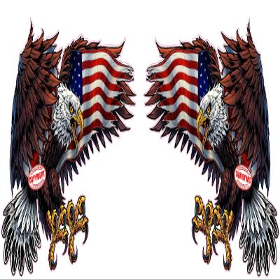 American Eagle American Flag 2023 Pairs Decal (12" x 8" Each)