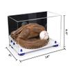 Better Display Cases Acrylic Catchers Glove Display Case with Mirror Case, Dark Blue Risers and White Base 14" x 8" x 8.5" (V16/A011) view 2