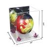 Better Display Cases Acrylic Bowling Ball Display Case with Mirror Case, Purple Risers and Clear Base (B33/A028) view 2