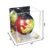 Better Display Cases Acrylic Bowling Ball Display Case with Mirror Case, Yellow Risers and Clear Base (B33/A028) view 2