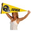 Hawkeyes Football Helmet Pennant Flag view 4