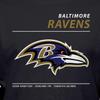 Hybrid Sports NFL - Baltimore Ravens - Logo and Stats - Men's and Women's Short Sleeve T-Shirt - Size 3 X-Large - Baltimore Ravens - Black view 4