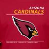 Hybrid Sports NFL - Arizona Cardinals - Logo and Stats - Men's and Women's Short Sleeve T-Shirt - Size Large - Arizona Cardinals - Cardinal Red view 4