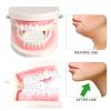 Jaw Exerciser for Man and Woman 3 Resistance Levels (6 pcs) BPA Free Silicone Jaw Exerciser Gum Tablets Jaw Trainer & Jaw Exerciser Shaper for Beginner, Intermediate & Advanced Users view 4