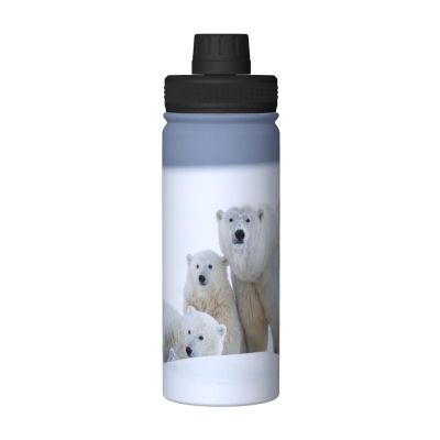 Rhomba Sport Double Layer Stainless Steel Water Kettle Outdoor Leak-Proof Wide Mouth Polar Bears Snow Drinking Bottle 18 Oz For Camping Hiking Climbing Running