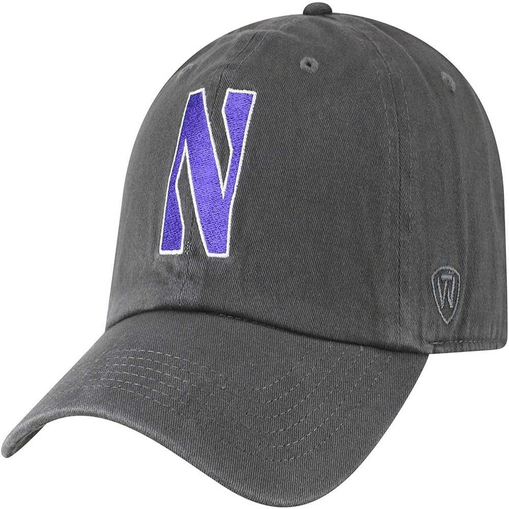 Collegiate Hats - Fitted Caps Adjustable Hats and Snapbacks Available (Adjustable Hat, Northwestern Grey)