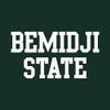 LS01 - Bemidji State Beavers Basic Block Womens T Shirt - 3X-Large - Forest view 3