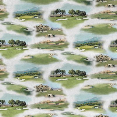 Clothworks Fore Y3746 116 Mist Grey Golfing Toile