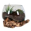 House Nordic Teak and Glass Water Drop 15 cm view 1