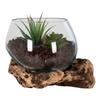 House Nordic Teak and Glass Water Drop 15 cm view 2