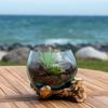 House Nordic Teak and Glass Water Drop 15 cm view 4
