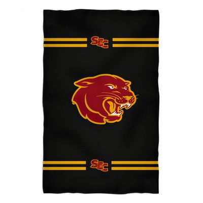Vive La Fete Bath Towels 100% Polyester SAC City Panthers Premium Black Beach Bath Towel 31 x 51 - Towels for Spa & Beach