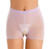 Rswnyirn Womens Ultra Thin See-Through Mesh Sheer Boxer Briefs High Waisted Underwear Boyshorts Purple One Size view 2