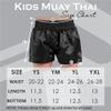 Roar Kids Muay Thai Boxing Kickboxing Shorts MMA Gym Training Fitness Trunks (as1, Alpha, l, Regular, White, Regular Fit) view 4
