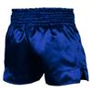 Roar Kids Muay Thai Boxing Kickboxing Shorts MMA Gym Training Fitness Trunks (as1, Alpha, l, Regular, Blue, Regular Fit) view 3