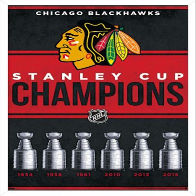 Trends International NHL Chicago Blackhawks - Champions 23 Wall Poster, 22.4L x 14.7W, White Framed Version