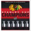 Trends International NHL Chicago Blackhawks - Champions 23 Wall Poster, 22.4L x 14.7W, White Framed Version view 1