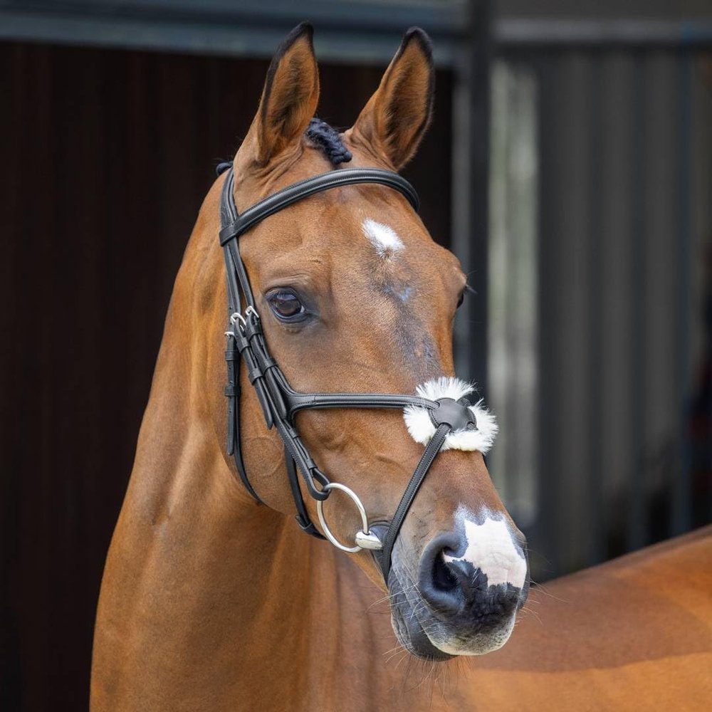 Shires LUSSO Grackle Bridle (Black, Full)