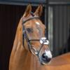 Shires LUSSO Grackle Bridle (Black, Full) view 1