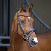 Shires LUSSO Dressage Flash Bridle (Havana, Full) view 1