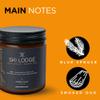 Amber Vale Home SKI Lodge, Blue Spruce and Smoked Oud Scented Natural Soy and Coconut Wax Candle, Phthalate Free, Non-Toxic and Healthy Clean Burning, 9oz Jar view 2