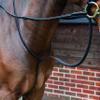 LUSSO Standing Martingale (Black, Cob)