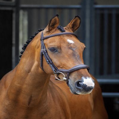 Shires LUSSO Ergonomic Flash Bridle (Black, Full)