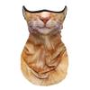 Cute Sun Mask For Cat Riding Ear Windproof Sand Ice Silk Mask Lmitation Dog Mask Mask Face Mask Face Towel Hiking Face Towel For Men & Women Neck Gator Masks (Orange Cat) view 1