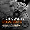 9800-0012 Replacement Belt Variable Speed Belt view 2