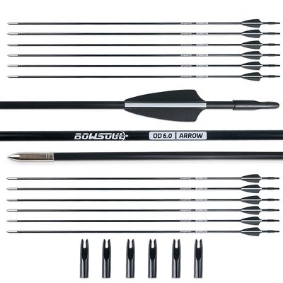 BOWSOUL 31 Archery Arrows Training Practice Target Arrows for Kids Youth or Beginners Streamlined Points Durable Shaft on Recurve Bows Youth Bow and Longbows(Pack of 12)