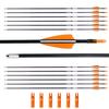 BOWSOUL 31 Archery Arrows Training Practice Target Arrows for Kids Youth or Beginners Safe Blunt Points Durable Shaft on Recurve Bows Youth Bow and Longbows(Pack of 12) view 1