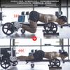 Abdominal Wheel Automatic Rebound Abdominal Equipment With 4 Wheels Home Exercise Bike view 3