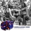 Gemer Cheerleader PIM Poms, Lightweight Durable Comfortable 8 Colors Plastic Antislip Cheerleading Poms, 1 Pair for Aerobics Cheerleader Activities (Blue Silver red) view 3