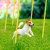 Blulu Training Agility Poles 5ft Forza Slalom Adjustable Soccer Training Poles Soccer Sticks Agility Equipment for Football Sport Football Soccer Speed(Yellow,20 Pcs) view 4