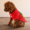 Cute Pineapple Dog Polo Shirt - Fruit Design Gift - Dog Owner Present - Blue, S view 4