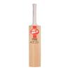 SG Kashmir Willow Short Handle Cricket Bat for Adult (Colour May Vary) (Profile Classic) view 2