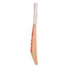 SG Kashmir Willow Short Handle Cricket Bat for Adult (Colour May Vary) (Profile Classic) view 3