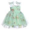 First Birthday Outfit Girl Baby Girl Birthday Outfit Tulle Dress for Girls Toddler Princess Tutu Pageant Dress Cake Smash Photoshoot Dresses Baby Birthday Dress Green Embroidery 12-18 Months view 2