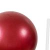 kowaku Small Pilates Ball Core Ball Thickened Slip Resistant Anti Exercise Ball Workout Ball for Stretching Core Training Gymnastics, Red view 4