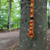 Arbo Space 11.5mm Huracan 24 Strand Double Braid Arborist Semi-Static MBS 6,800lbs Climbing Line(Eye Splice - 24 Strand Climbing, 200ft.) view 3