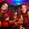 Didiseaon Carnival Devil Mask Horror Half Face Mask Halloween Animal Cosplay Scary Ox Horn Animal Ram Antler view 3