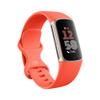 Fitbit Charge 6 Fitness Tracker with Google apps, Heart Rate on Exercise Equipment, 6-Months Premium Membership Included, GPS, Health Tools and More, Gold/Coral, One Size (S & L Bands Included) view 1