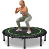 BCAN 48" Adult Fitness Trampoline with Durable Bungees, Stable & Quiet Exercise Rebounder,Great Mini Trampoline for Indoor/Garden Workout - Green view 1
